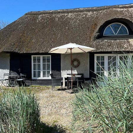 Farm61 Badehotellet I Det Midtjydske - Alder +18 Ar Tjele Exterior foto