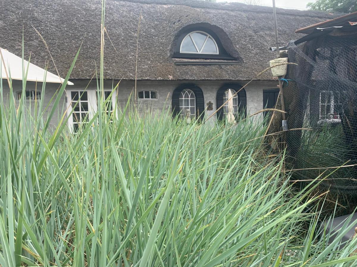 Farm61 Badehotellet I Det Midtjydske - Alder +18 Ar Tjele Exterior foto